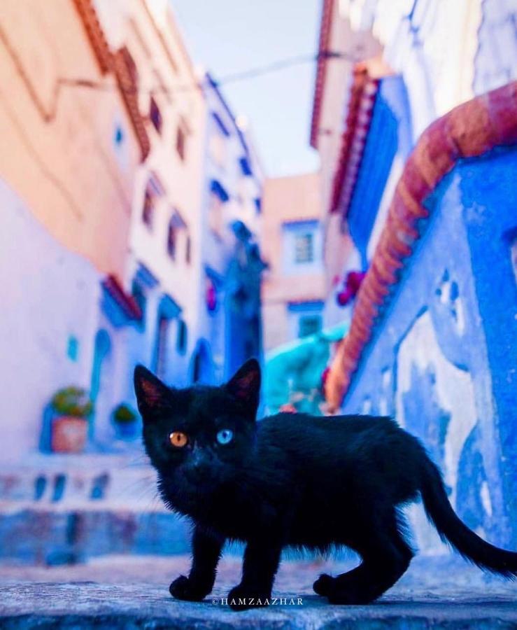Mesk Elil Ξενοδοχείο Chefchaouen Εξωτερικό φωτογραφία